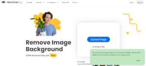 remover bg app preview